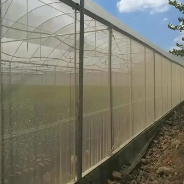 30 40 50 60 Mesh Greenhouse Anti Aphid Netting Customized Size Garden Vegetables Pest Control Screen Insect Screen Barrier Net photo-4