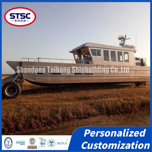 High-Performance China-Made Cargo Vessels for Bulk Commodity Sea Transportation