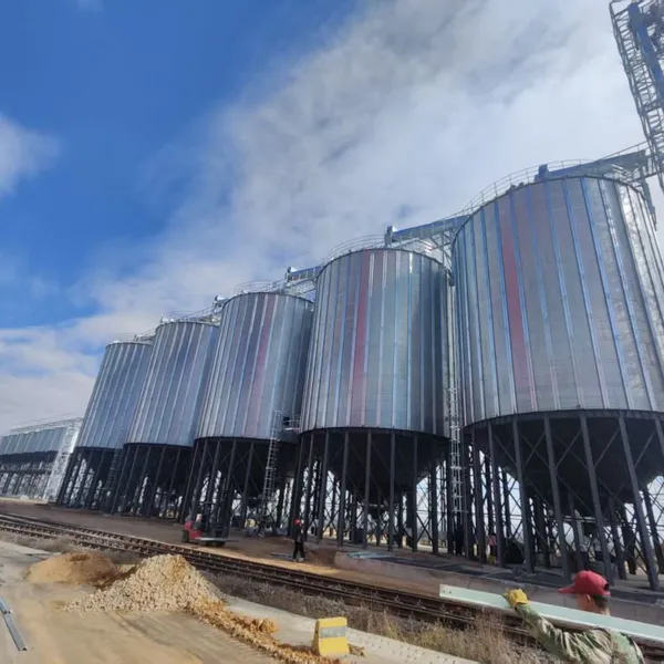 800T Customized Galvanized Steel Feed Silo for Poultry Farm Animal Feed Storage System photo-3