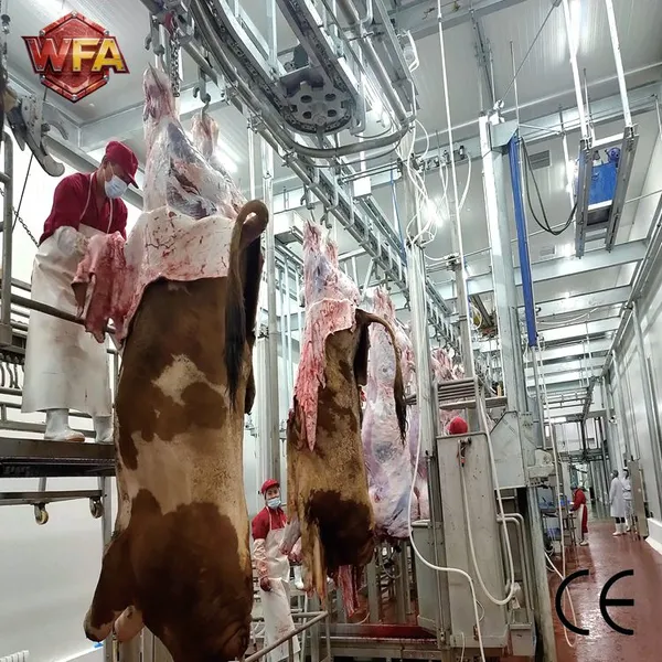 Complete Slaughtering Line Equipment Cow Slaughter Machine Cattle Abattoir Slaughterhouse Plant photo-5