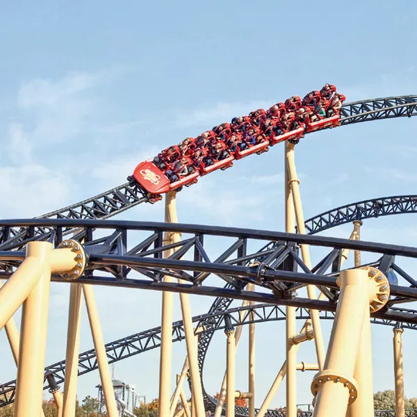 Roller Coaster Guide Wheels for Amusement Park Equipment Components photo-3