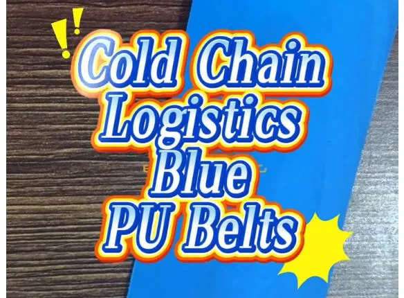 Blue PU Conveyor Belts for Cold Chain Logistics