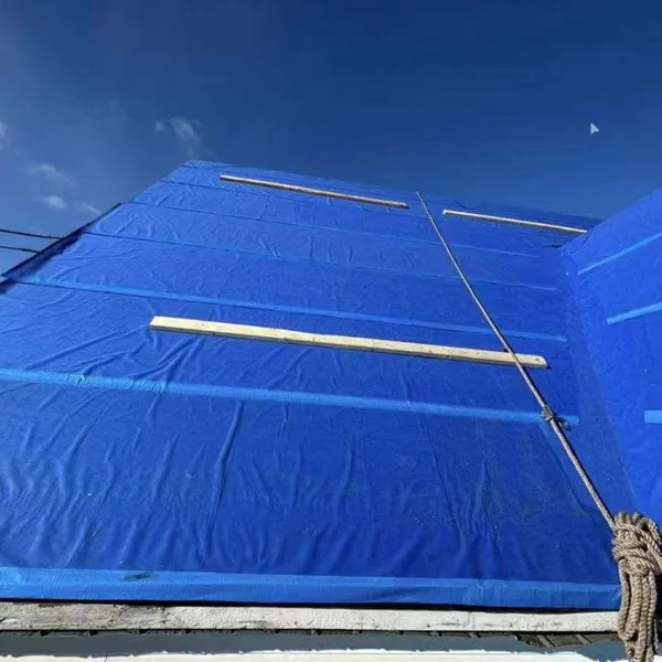 OEM Self Adhered Ice and Water Shield Membrane for Roofing Suppliers photo-4