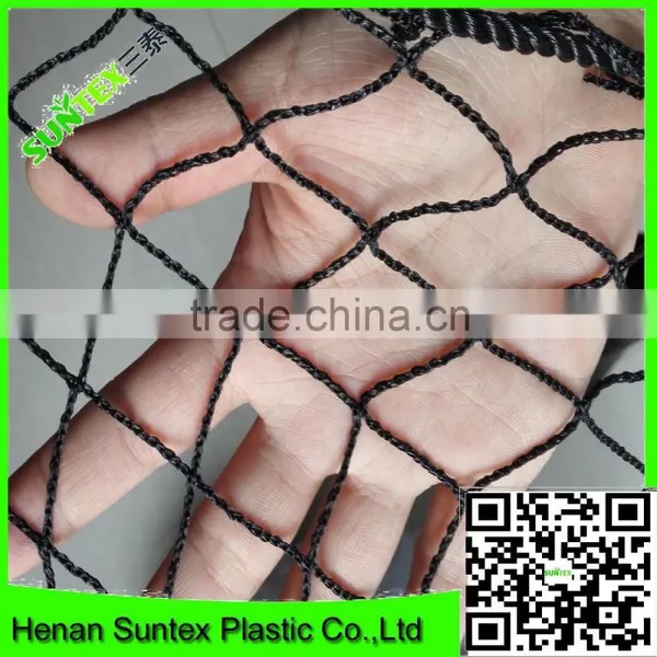 Clear Anti Bird Hail Cover Net/uv Resistance Woven Mesh Net/reinforced Hail Guard Net photo-2