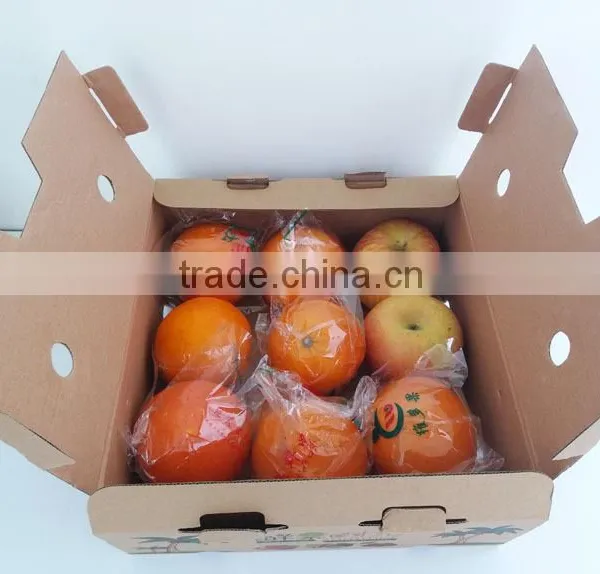 Corrugated Paper Box for Fresh Fruit Packaging on Sale photo-3