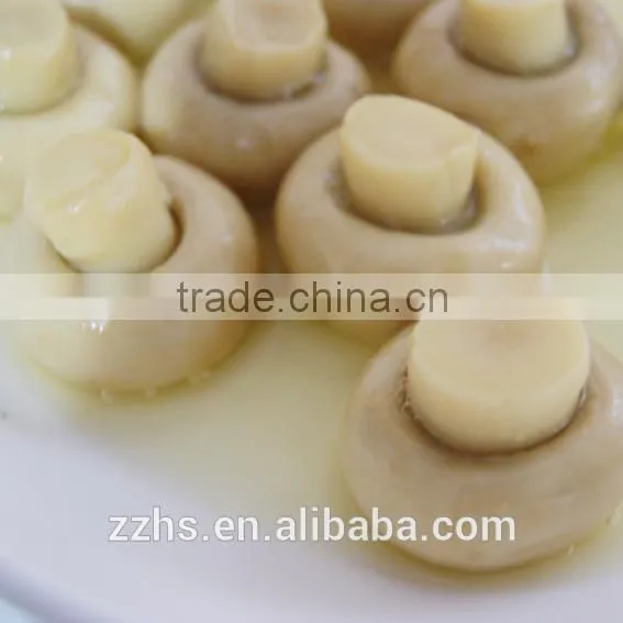Canned Mushroom Canned Food