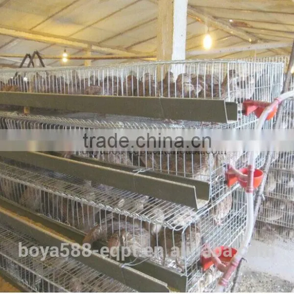 galvanized quail cage with automatic system