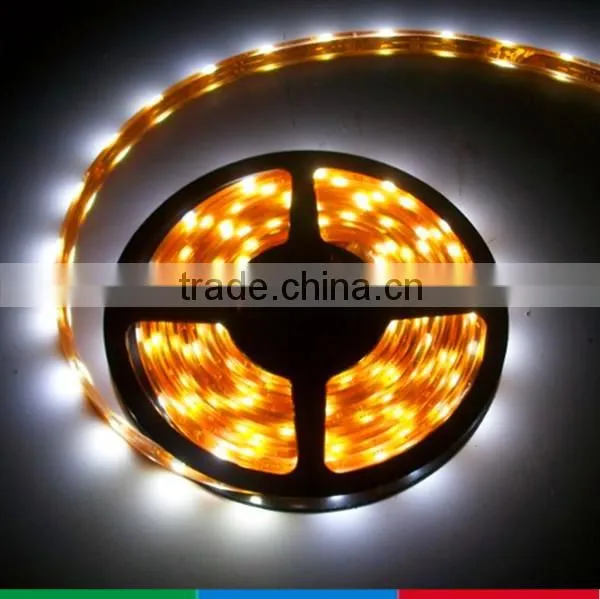 High Lumen 5050 Smd Led Strip Light 220V photo-5