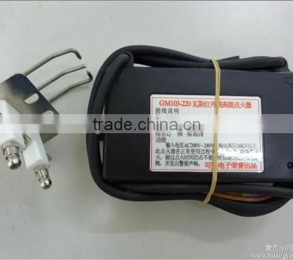 Hot Sale Chinese Supplier Good Quality 220VAC Electronic Gas Spark Igniter for Water Heater