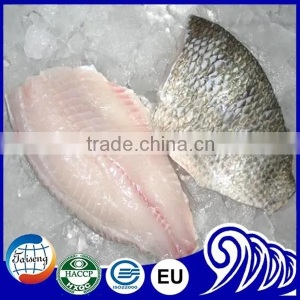 Bulk Tilapia Fillet With High Quality photo-6