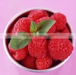 Frozen Fruit photo-2