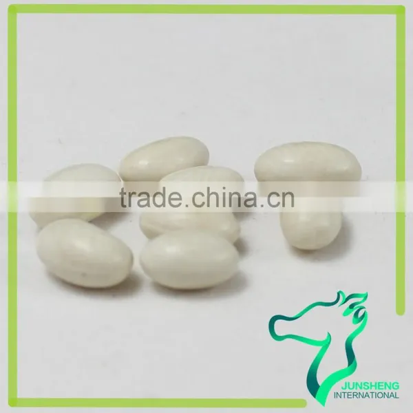 All Size Supply Japanese White Kidney Beans For Sale Wholesale Price photo-5