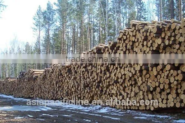 Timber Log / Sawlogs / Wood Round Logs / LARCH/BIRCH/SPRUCE/PINE READY FOR EXPORT FROM FAR EAST RUSSIAN PORTS