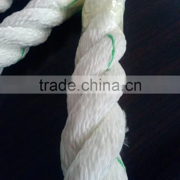 2015 Best China Supplier Crossfit Battle Rope for Sale photo-4