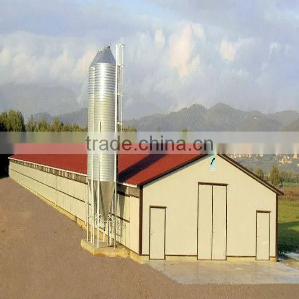 Chicken House Prefab House Steel Structure photo-4