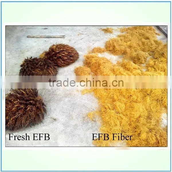 Coconut Shell Long Fiber Making Machine Exported to Indonesia photo-5