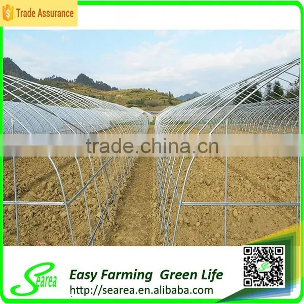 Arch Pips Greenhouse for Crops photo-3