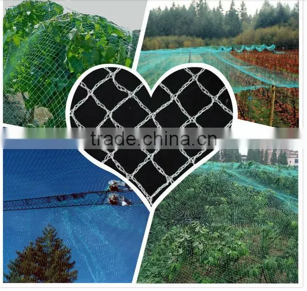 2016 New HDPE Vineyards Anti Bird Netting/pond Netting in Australia/new Zealand photo-5