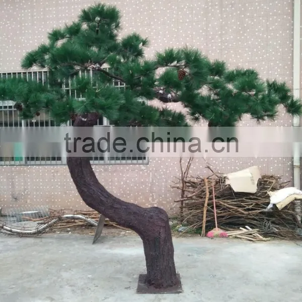 Evergreen Pine Trees for Garden Decoration photo-2