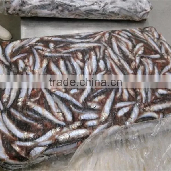 Good Quality Frozen Whole Anchovy photo-4