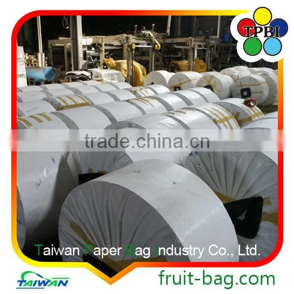 TPBI Taiwan High Quality Fruit Protective Paper Bag Mango Black Color Paper Wax Paper photo-4