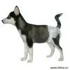 Sell High Quality Pet Diaper