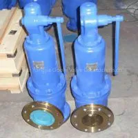 DIN Spring Loaded Pressure Safety Valve photo-2
