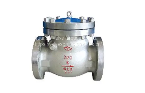 Cast Steel and Stainless Steel Check Valve