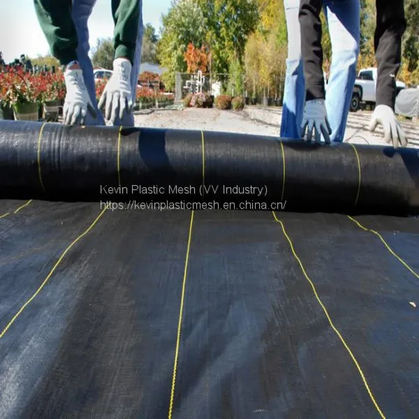 Plastic Woven Weed Mat PP Ground Cover PP Ground Mulching Netting photo-3