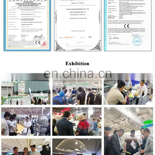 Iqf French Fries Machine Complete Production Pretreatment Line for French Fries photo-6