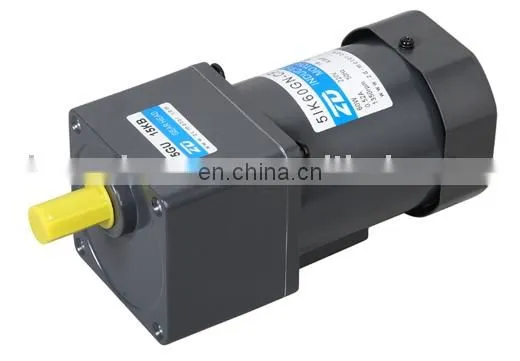 60 Watt AC Induction Gear Motor