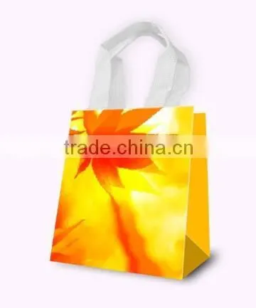 Fancy Gift Bag, Souvenir Packaging Bags