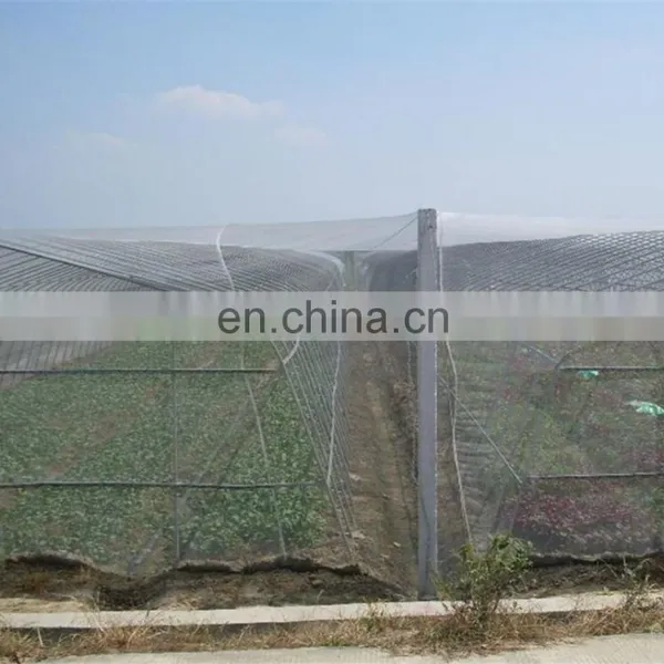 High Quality HDPE Fruit Tree Anti-insect Net 40 Mesh for Vegetable Gardens photo-3