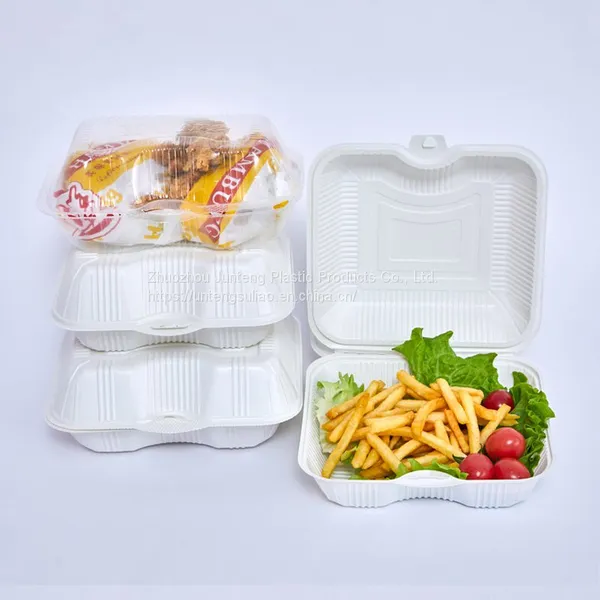 Customize PP Hinged Packaging Tray Clamshell Blister Food Container Togo 2 Compartment Fast Food Lunch Food Box photo-2