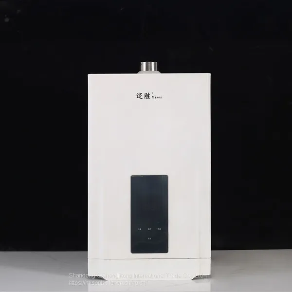 Tankless Hot Water Heater Instant Gas Water Heater Geyser Boiler For Bath Shower photo-2