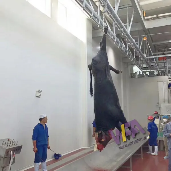Specially Customized Bull Butcher Machine Blood Trough For Cow Slaughter House photo-5