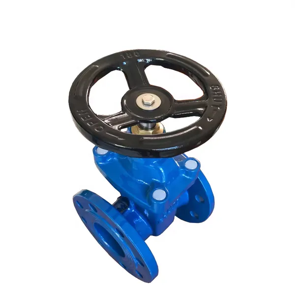 BS DIN PN16 Soft Seal Non Rising Stem Flange Gate Valve Cast Iron Ductile Iron GGG50 Osy Gate Valve Price photo-4