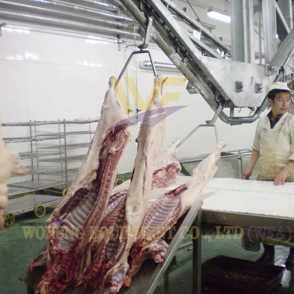 Small Medium Large Scale Pig Slaughter Line Customized Hog Processing Machinery With Installation Service photo-3