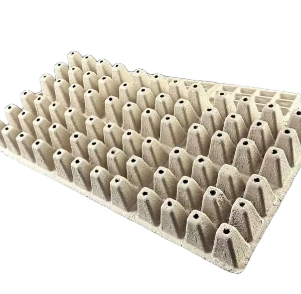Molded Pulp Seedling Tray for Commercial Vegetable Nursery, Transplant Ready