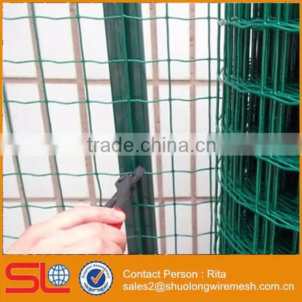 Euro Welded Wire Mesh Roll Garden Fence photo-5