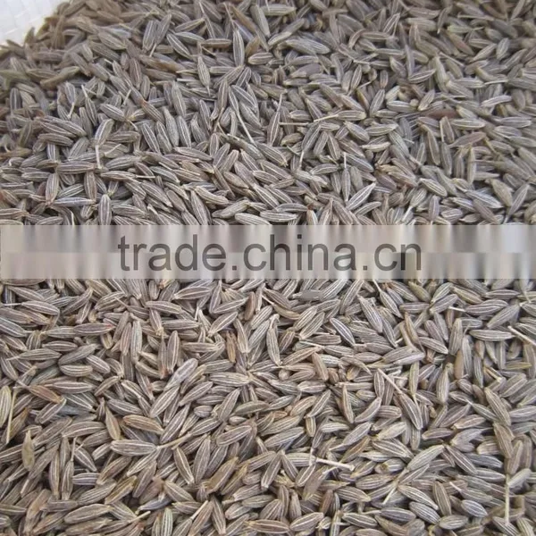 Cumin Seeds Singapore Quality 99 %