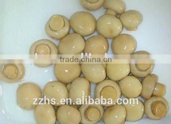Canned Mushroom Canned Food photo-3