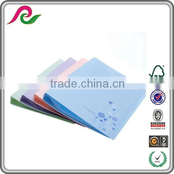 Waterproof Plastic File Folder Sheets photo-6
