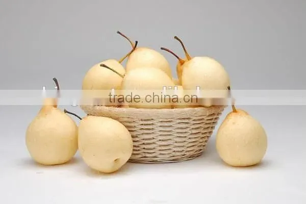 China Fresh Sweet ya Pear With High Quality photo-5