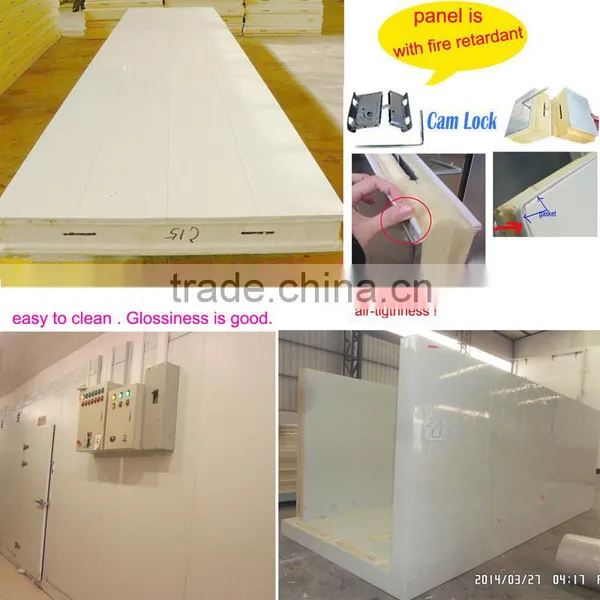 PU Insulation Freezer Meat Storage Room photo-4