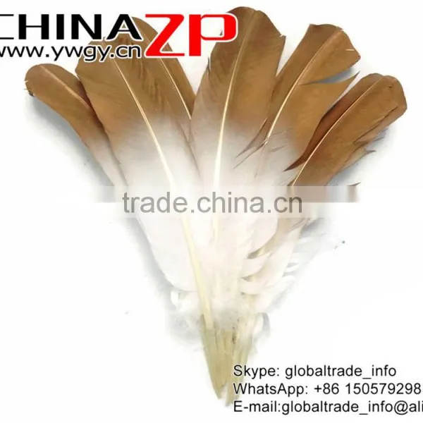 Gold Leading Supplier CHINAZP Wholesale Plume Dyed Bulk Gold Metallic Bicolourable Turkey Feathers photo-3
