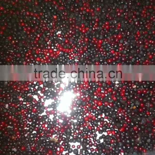 Lab Freeze Dryer or Lyophilizer photo-2