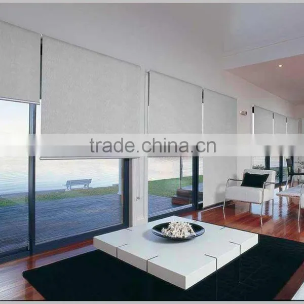 Manual Roller Blinds Curtain Hotel Blackout Blinds Electric Blinds for Windows photo-5