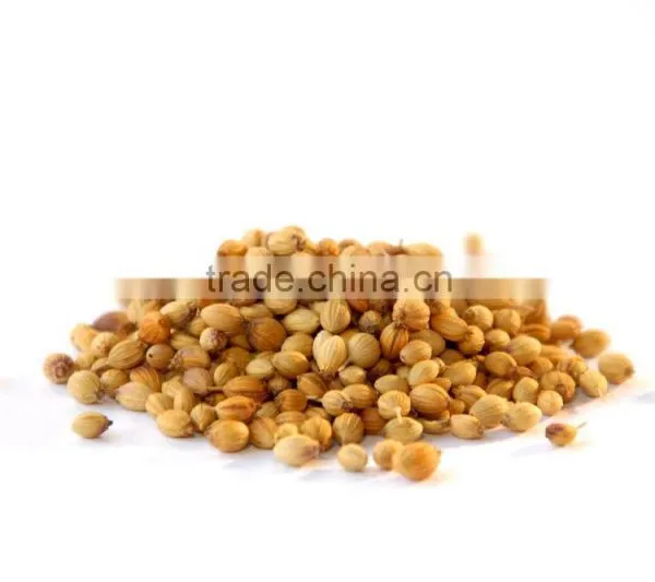 Indian High Grade Fresh Wholesale Dried Coriander Seed photo-6