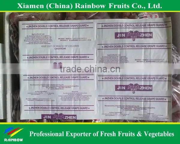 Fresh Fruits of Red Global Grape photo-6